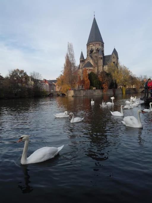 Lumineux Et Cosy, Avec Parking, 2 Mn Gare, 2Mn Muse, 5Mn Centre Appartement Metz Buitenkant foto